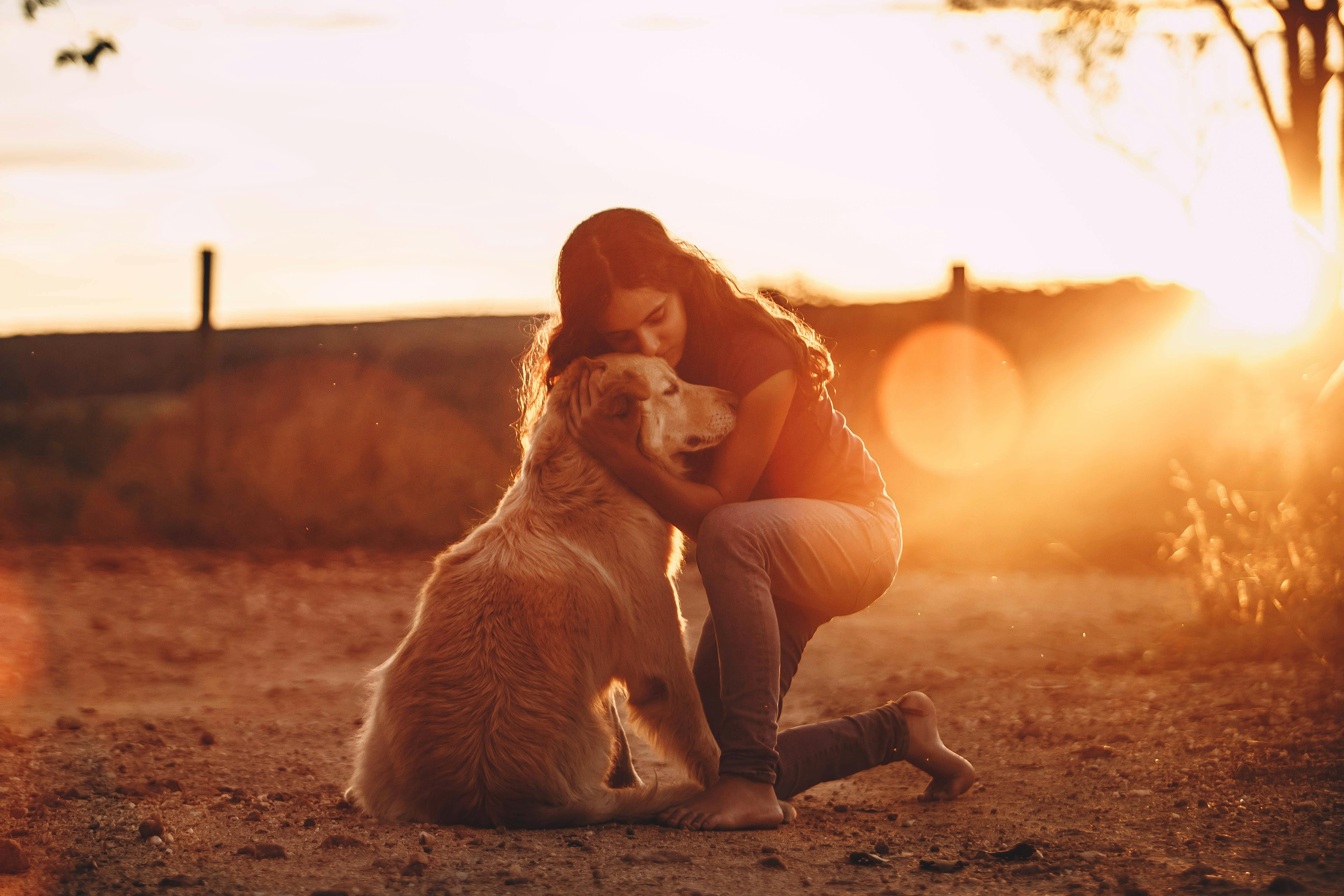 Emotional Support Animals: More Than Just Companions